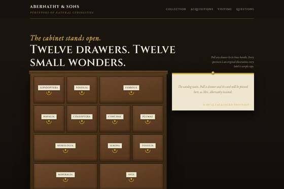 abernathy and sons cabinet of curiosities website preview