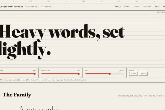 counterform foundry live type specimen website preview