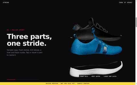 STRIDE website preview
